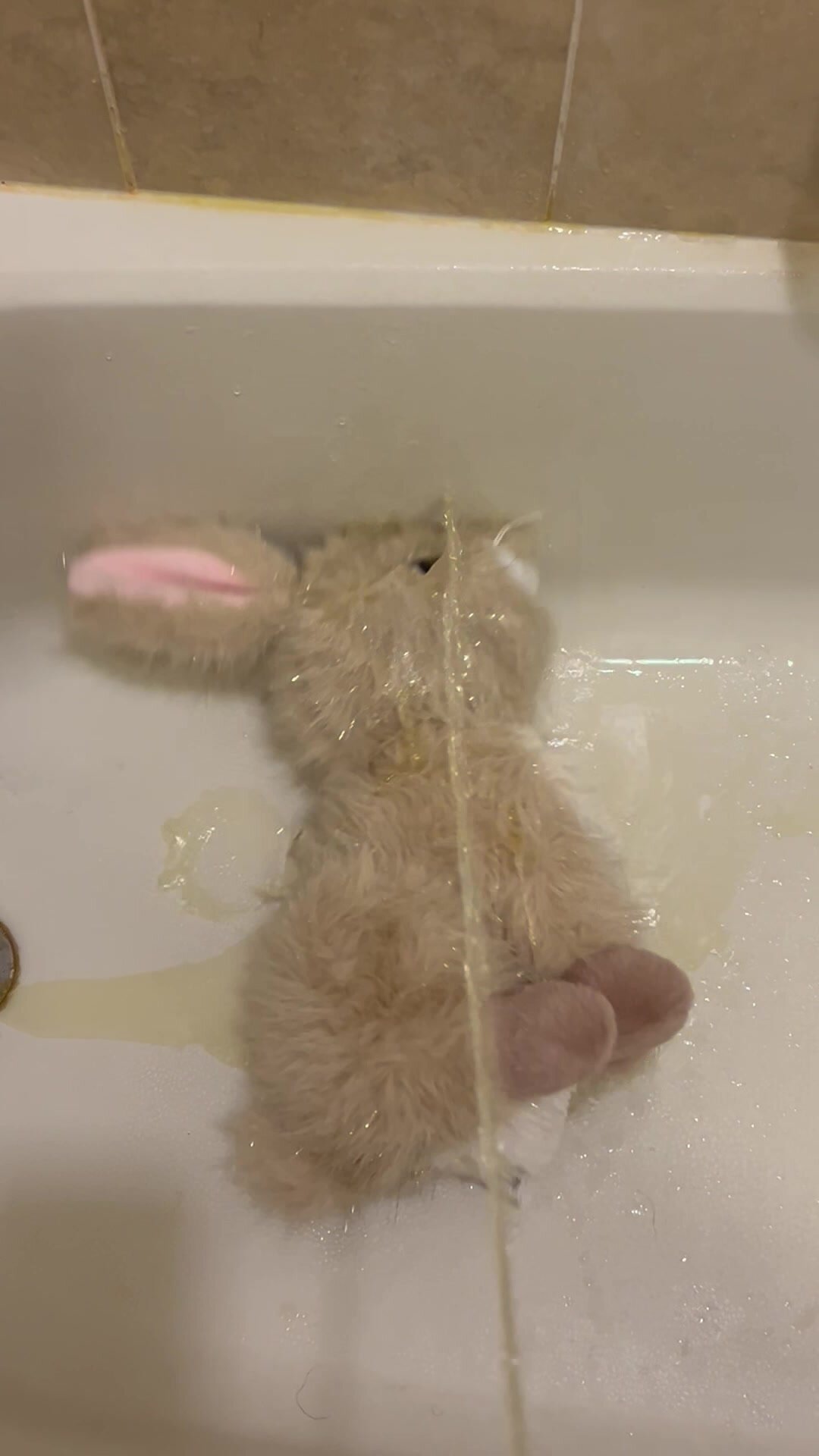Pissing On The Easter Bunny