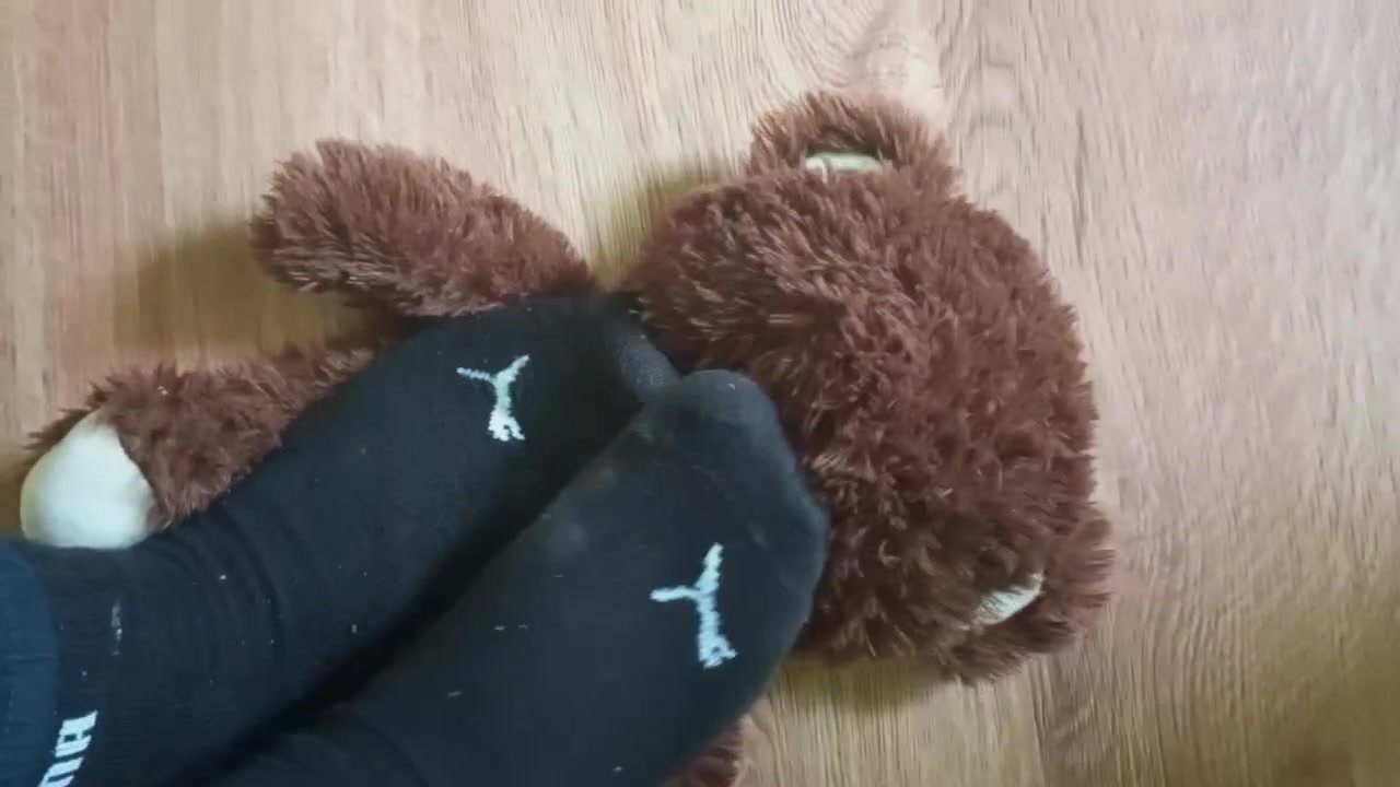 The eddy bear tortured by sweaty socks