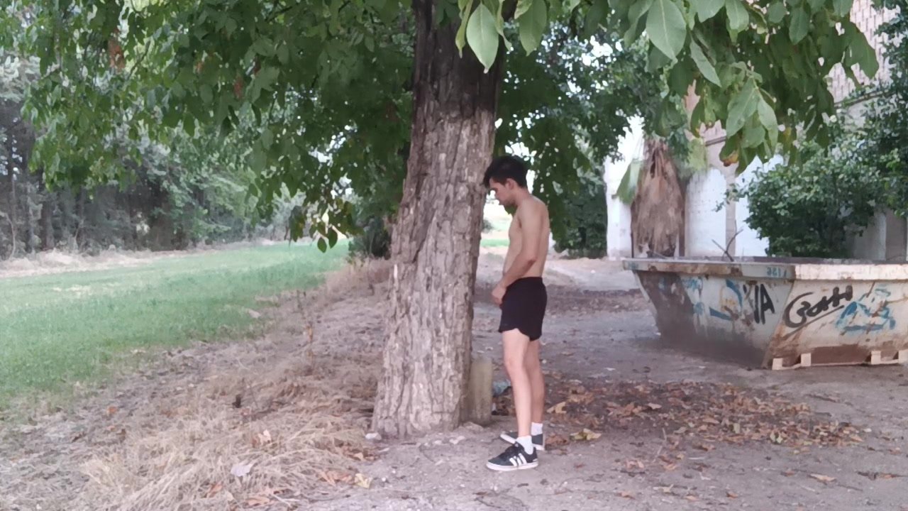 Boy piss on a tree