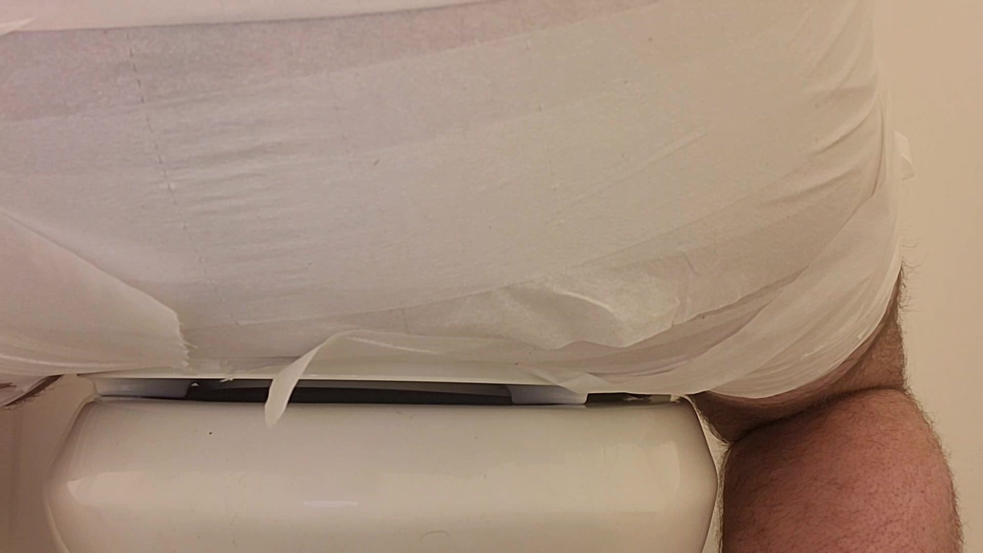 Pooping my toilet paper diaper