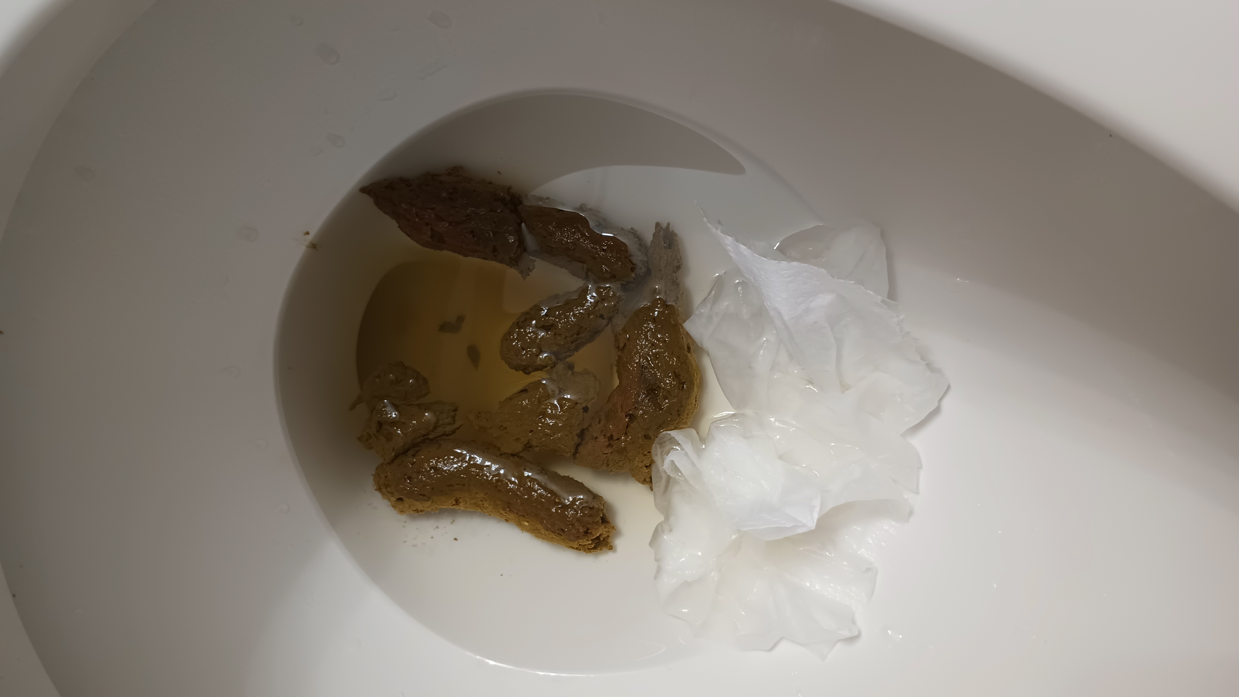 5-2-24 Smelly afternoon dump