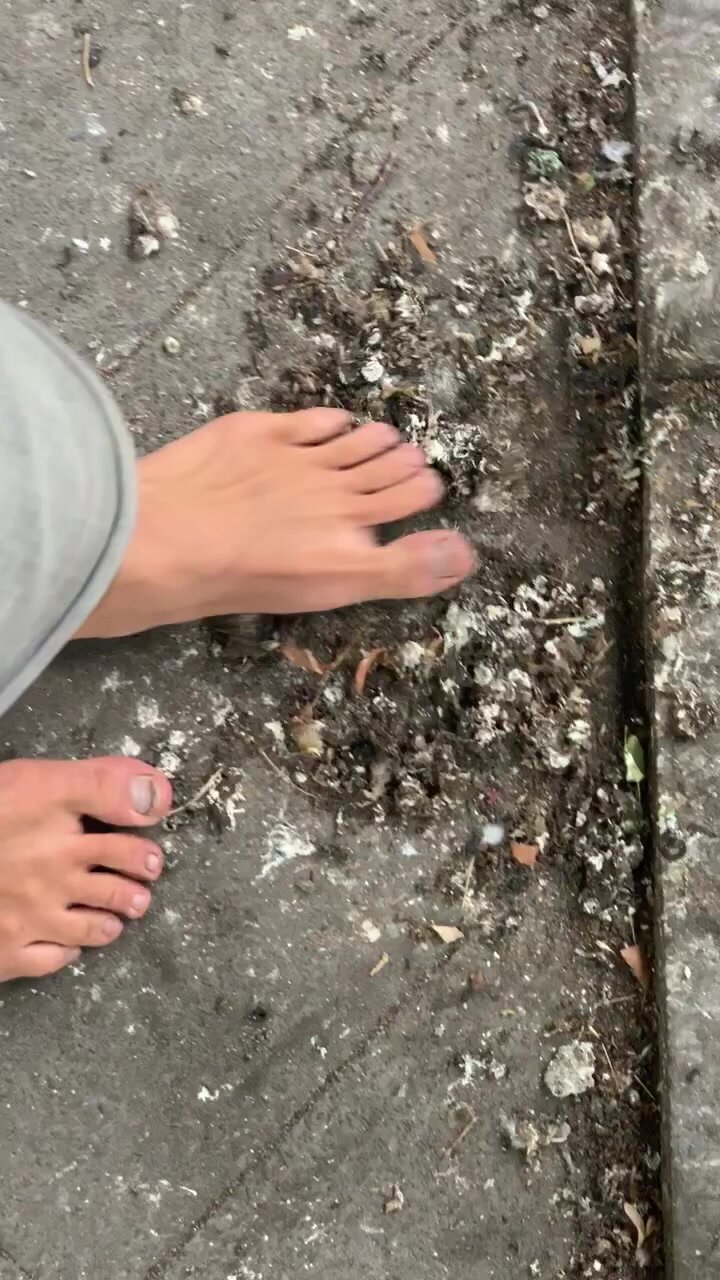 Barefoot stomp on bird droppings
