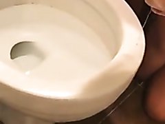 Wife material licks toilet