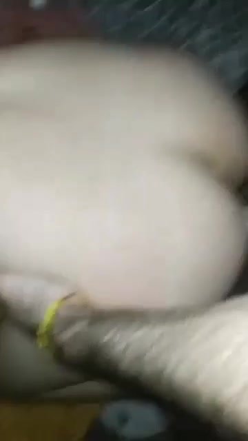 Painful Fuck - video 6