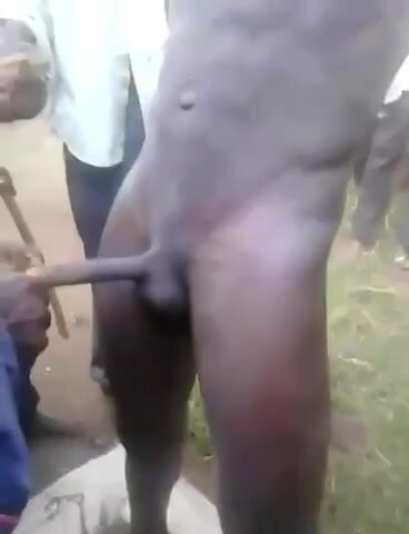 African brutal circumcision