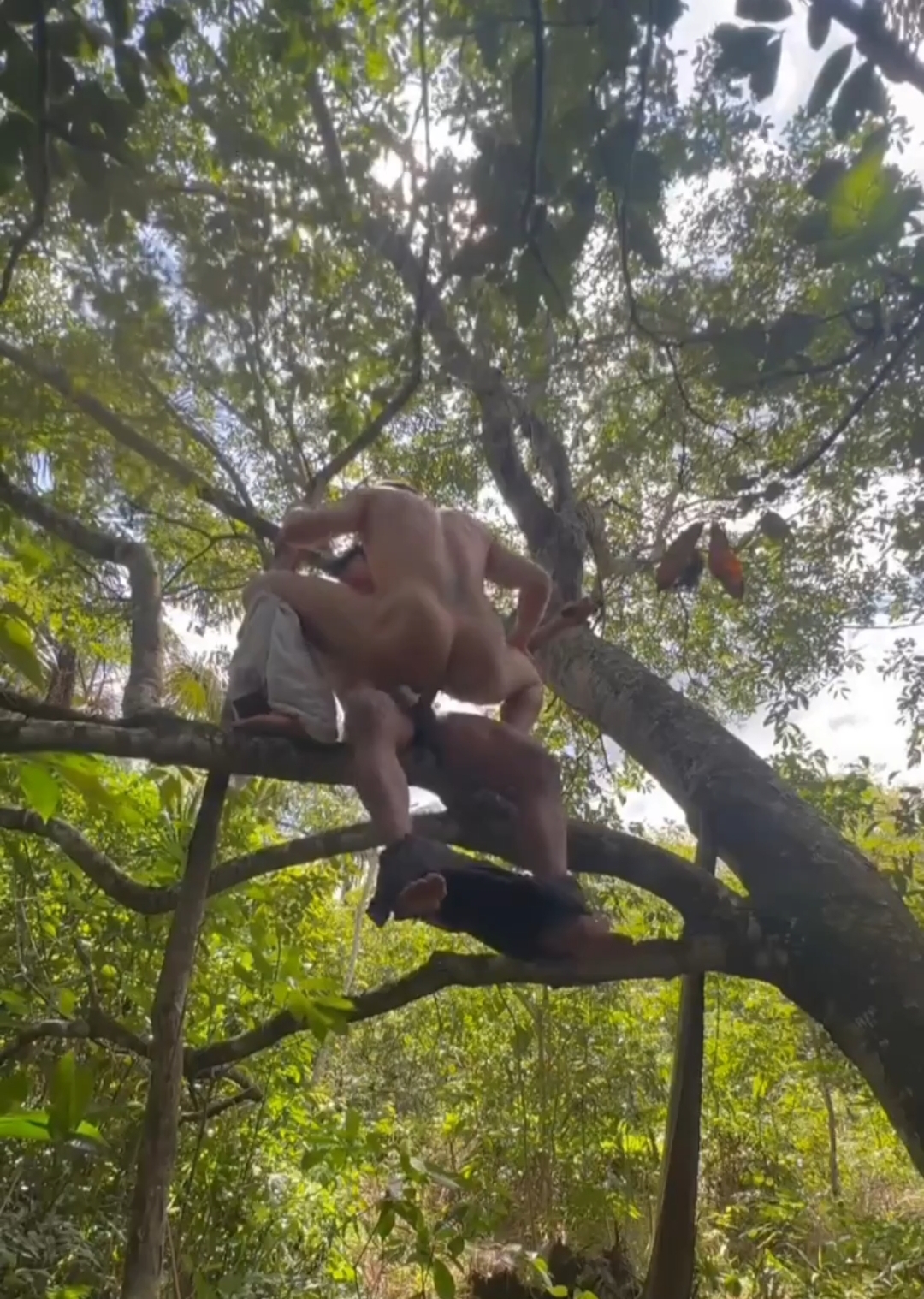 Just Like Tarzan...