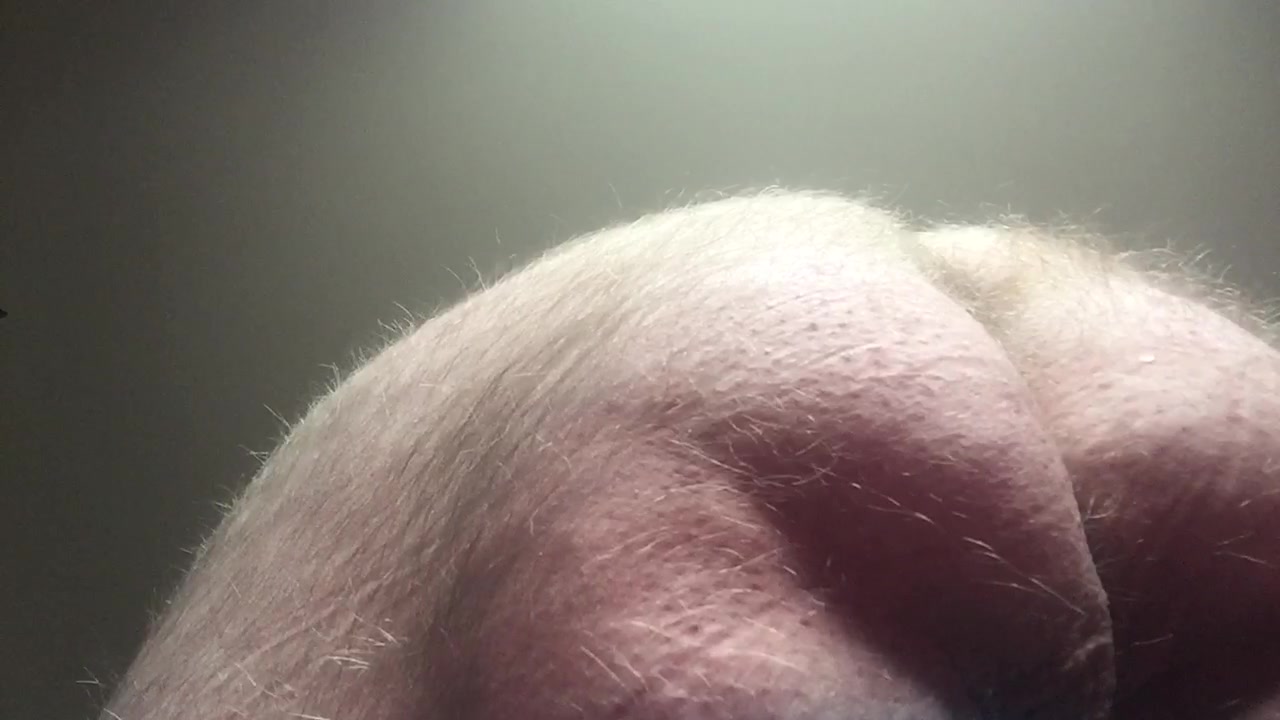 My fat furry butt