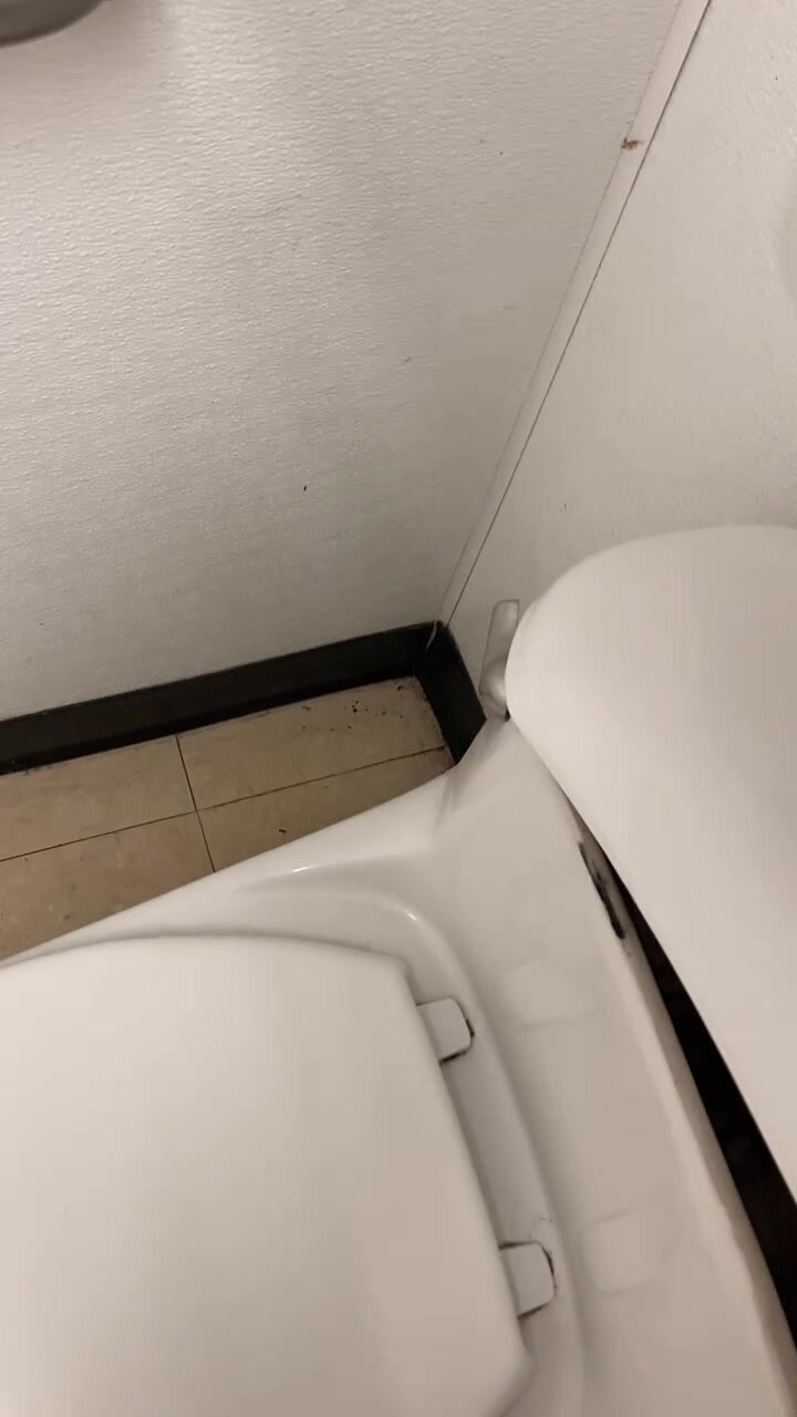Piss marking in toilet tank