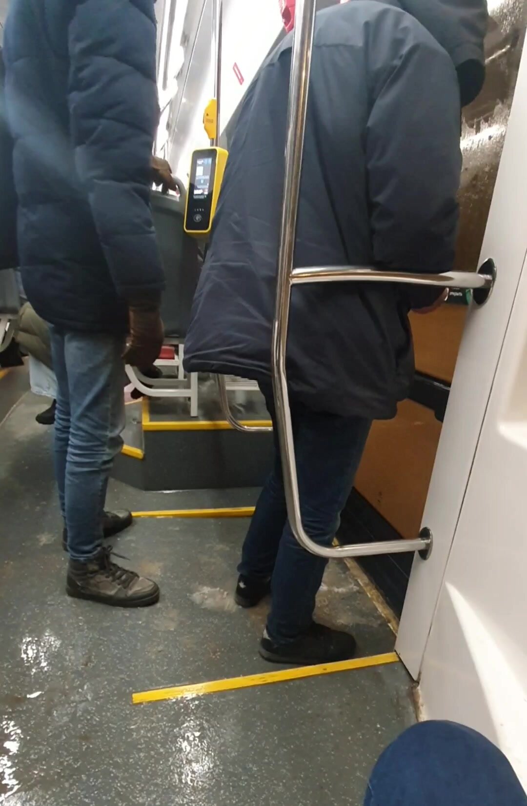 Guy can't hold his piss in tram