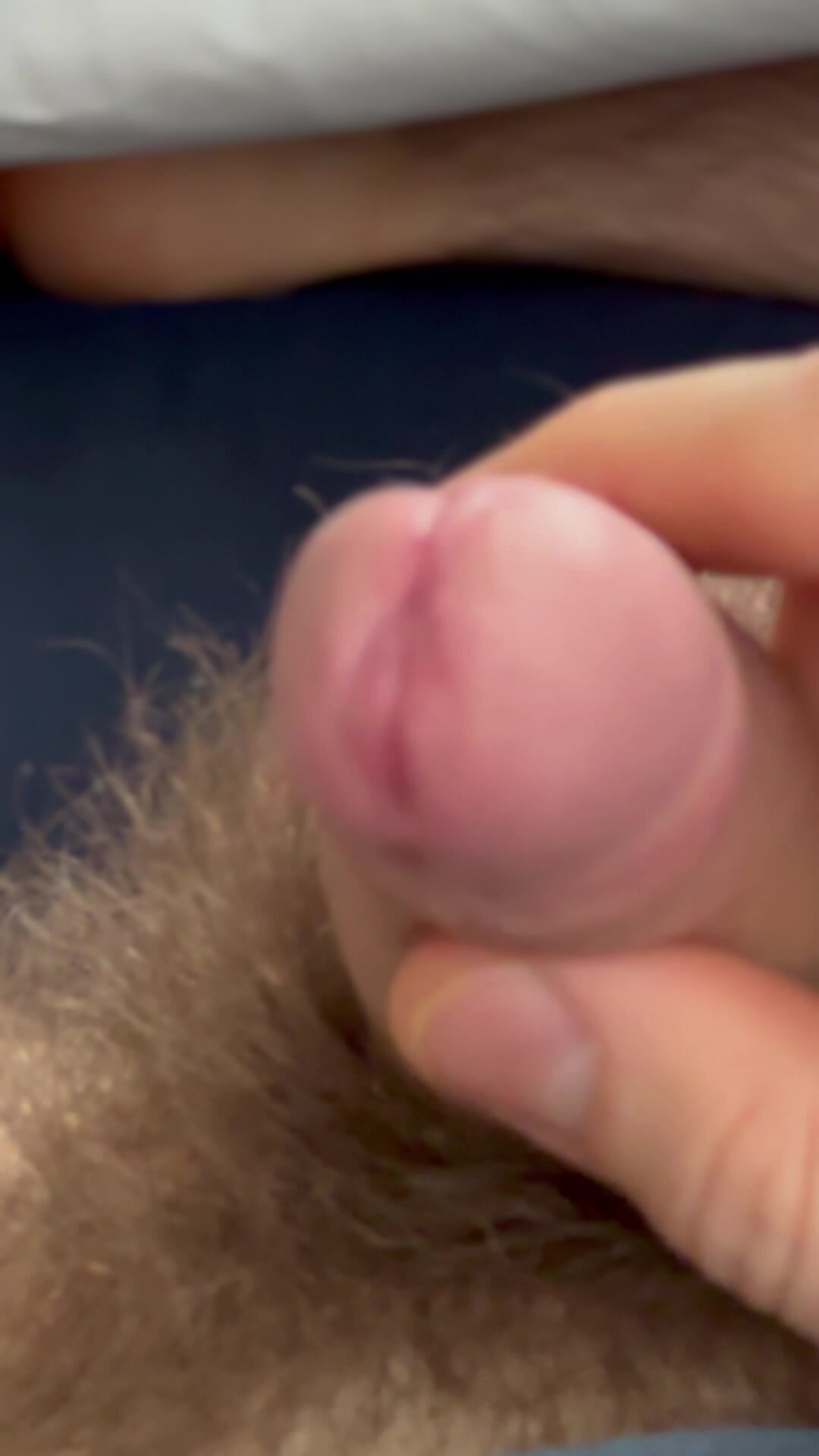 Hairy softy small uncut with precum