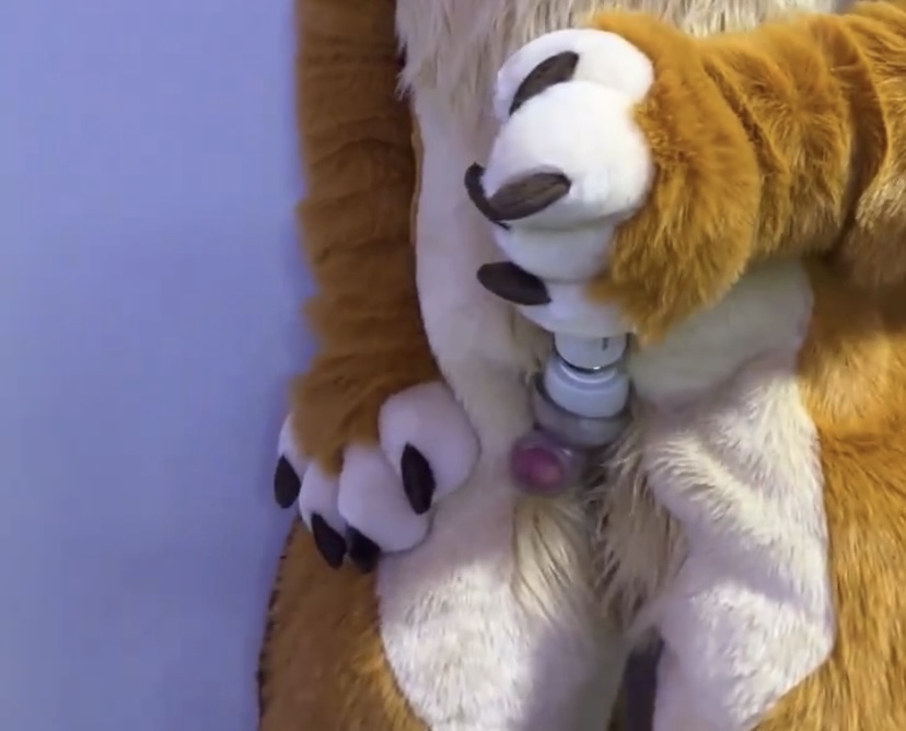 Furry cums by using vibrator - 1