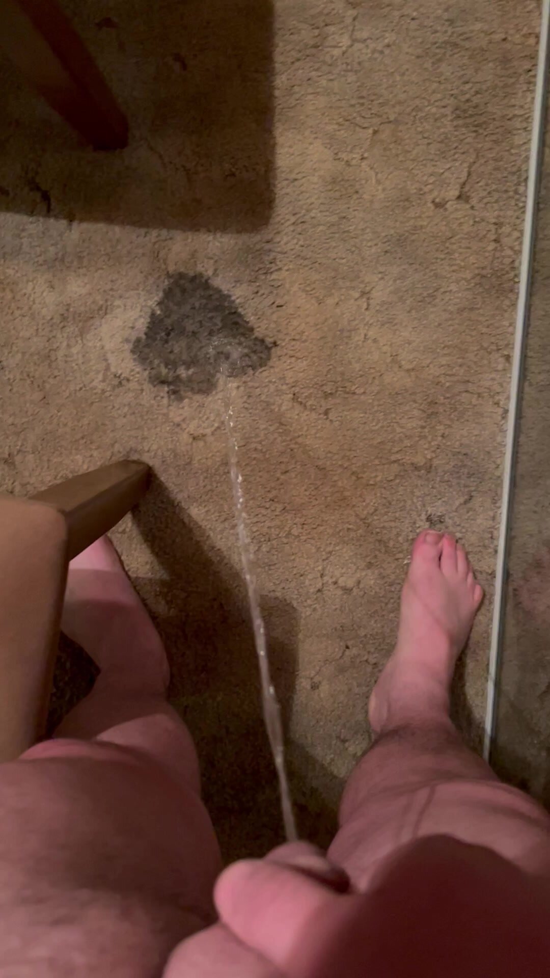 Floor pee - video 5