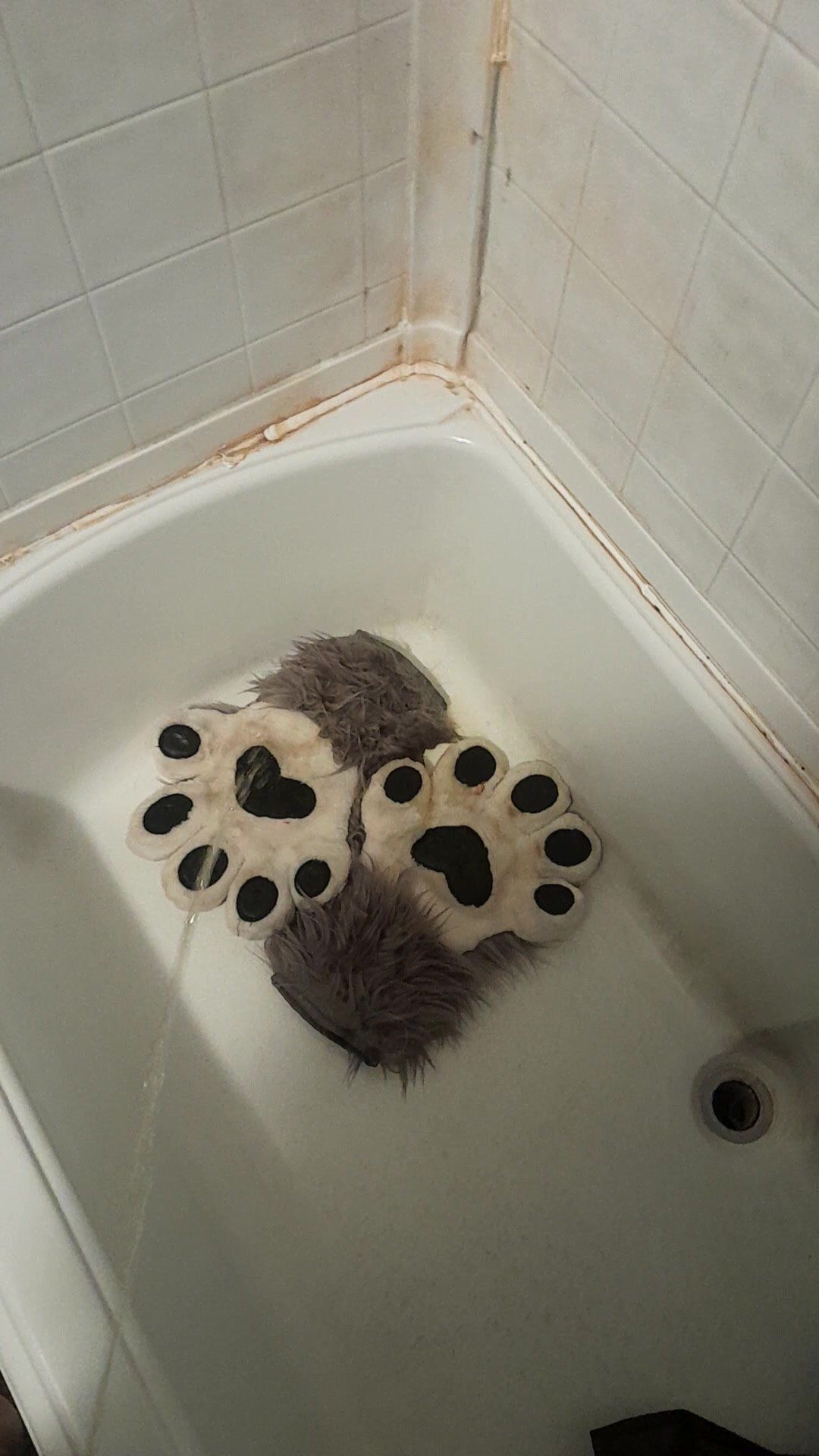 Pissing on some fursuitpaws