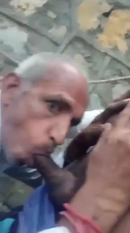Indian grandpa sucks cock badly