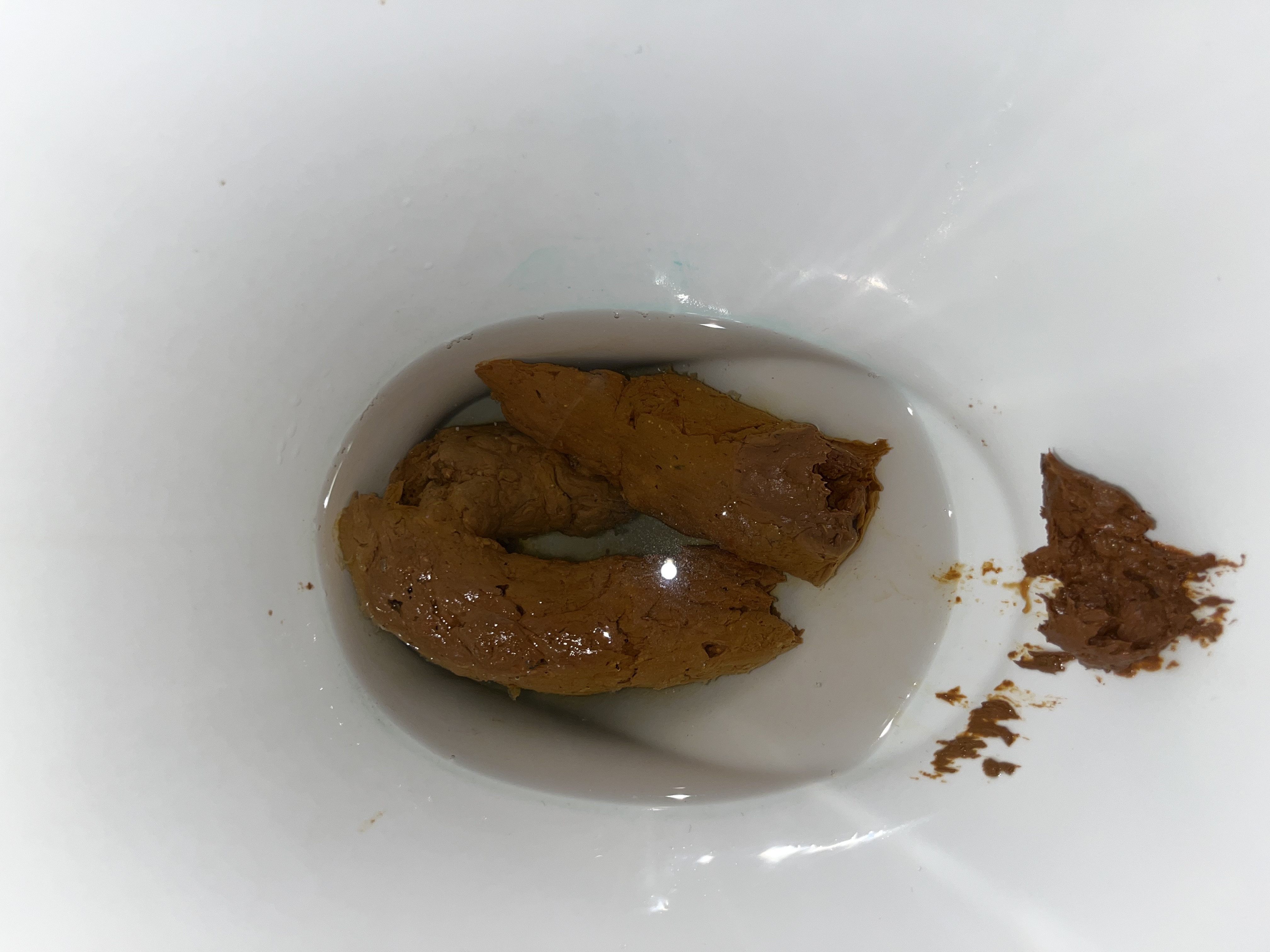 Twink shitting on toilet