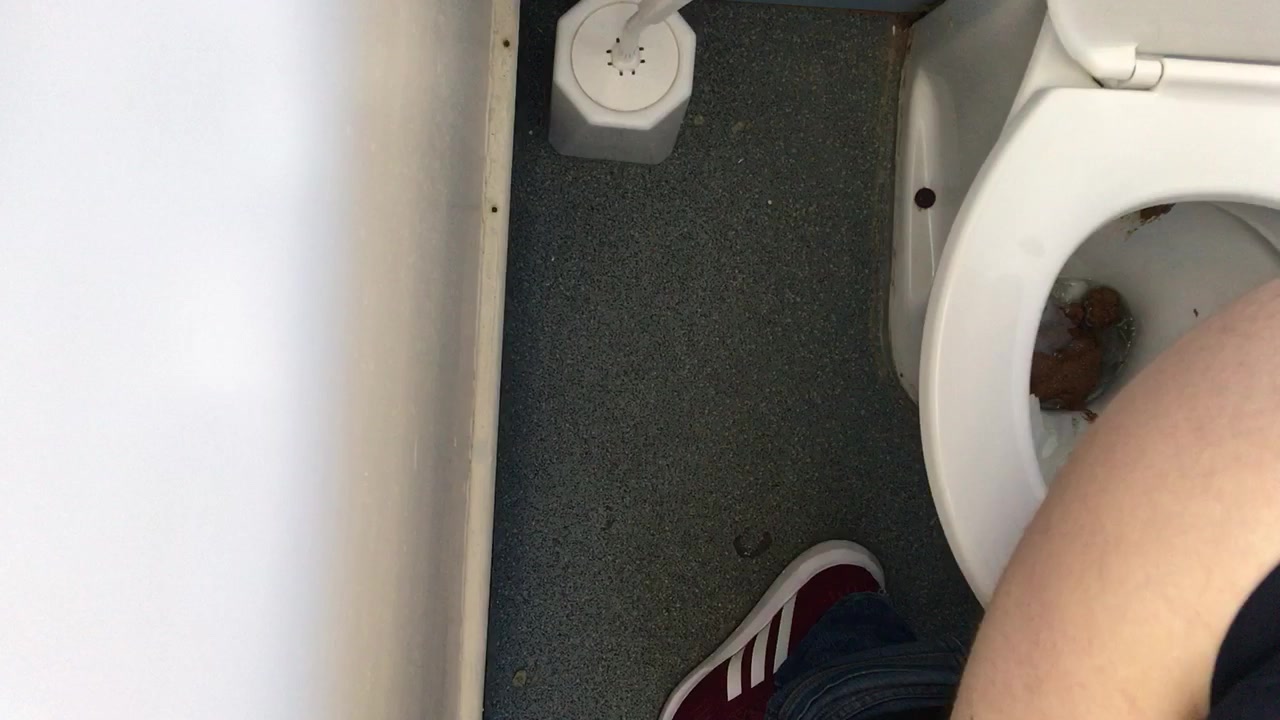 Public toilet poo 3