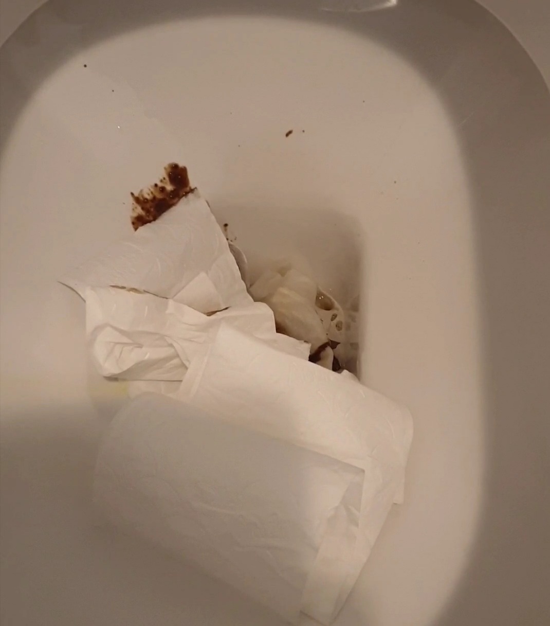 Faggot punishes the toilet
