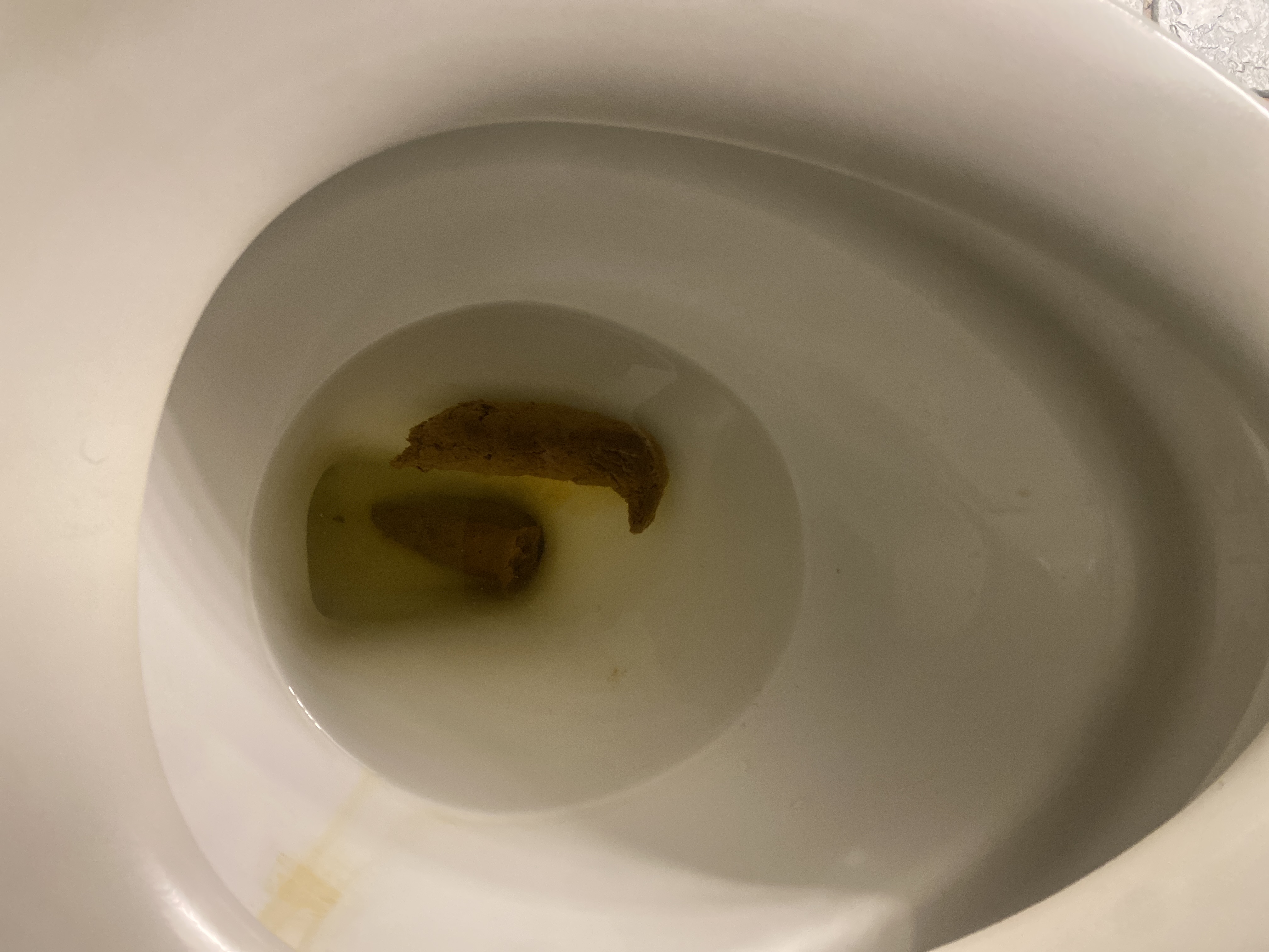 constipated toilet poop