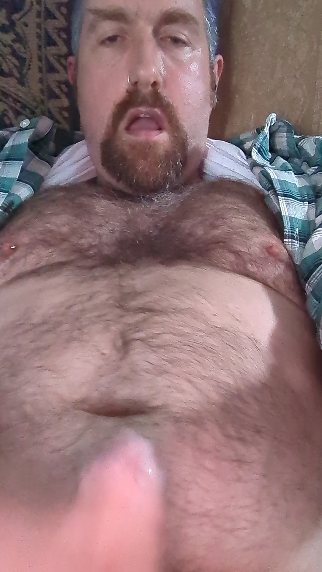 Bear shoots all over his chest and face