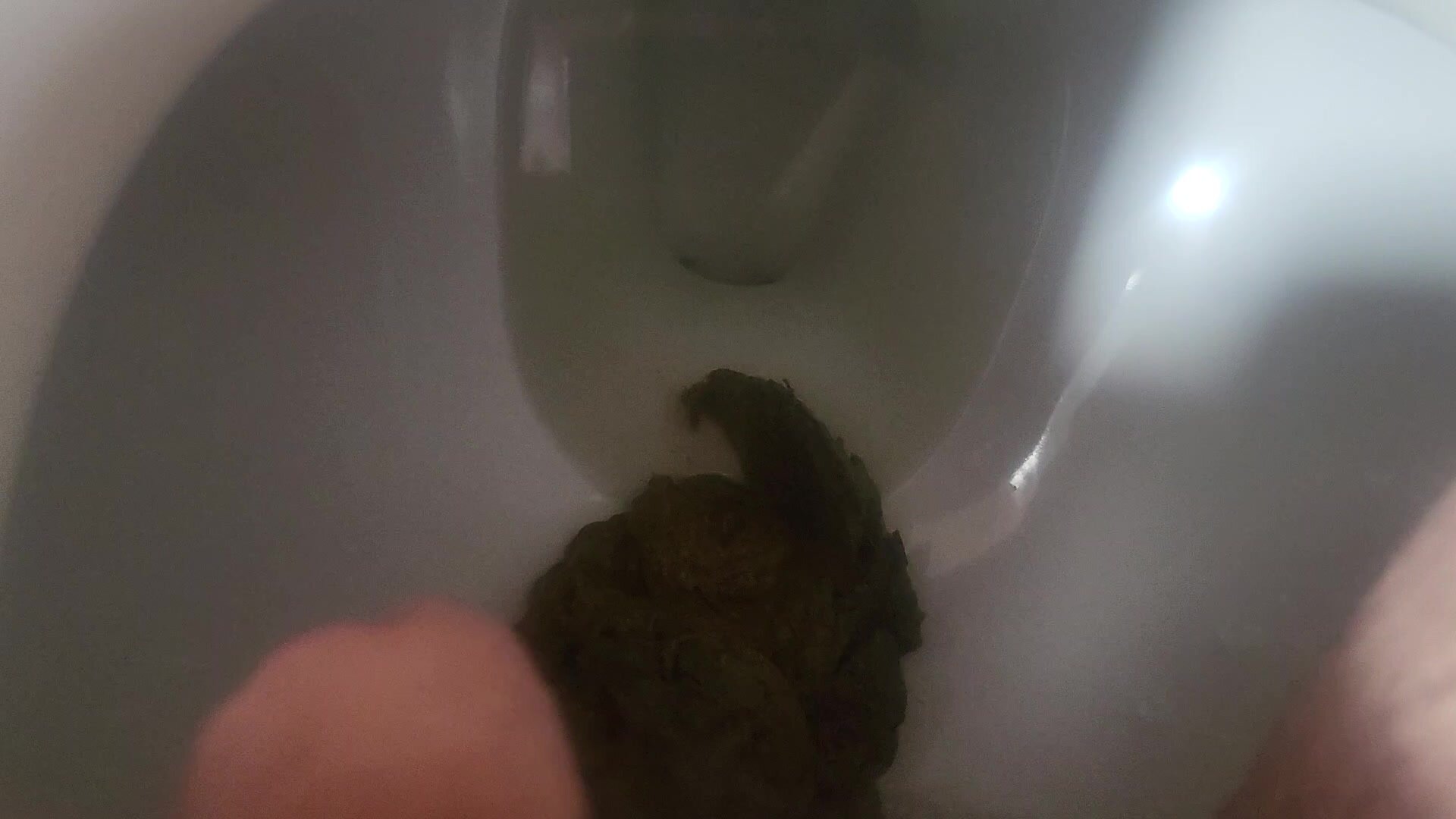 Big shit in the toilet (Inside toilet view)