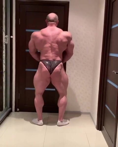 Huge Offseaaon musclebull