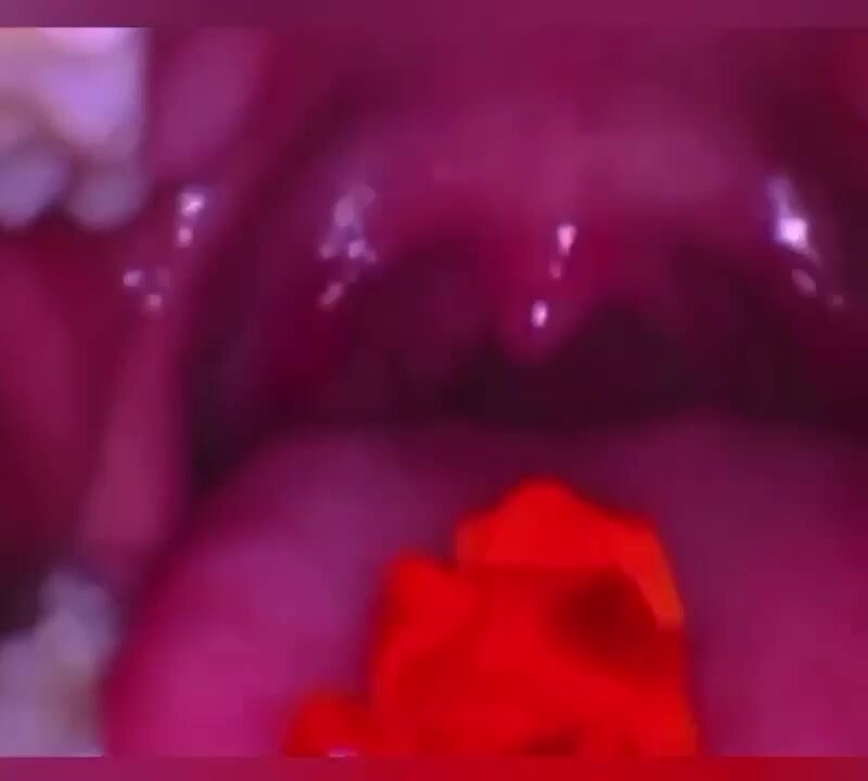 Gummy swallow - video 12