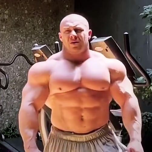 Musclebull flexing - video 2