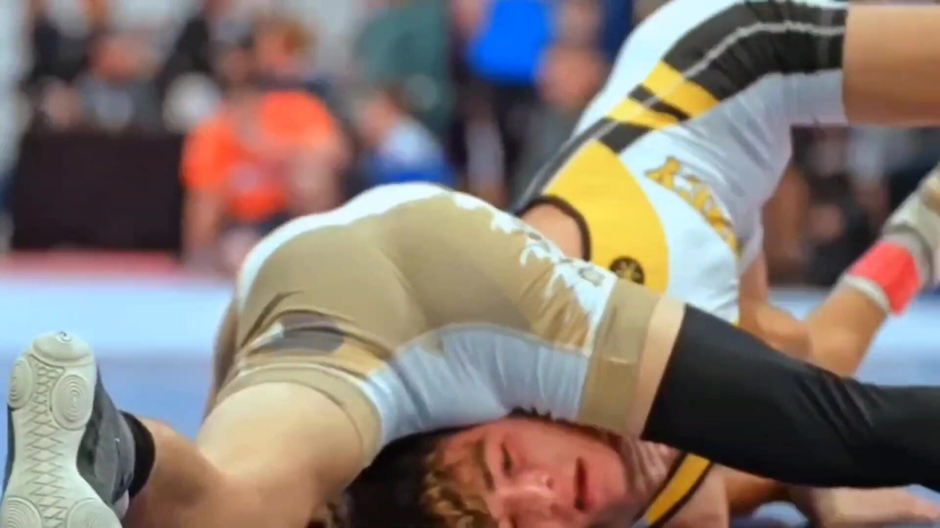 Wrestling and bulges on the face