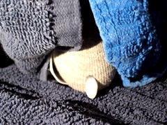 Cum through undies!