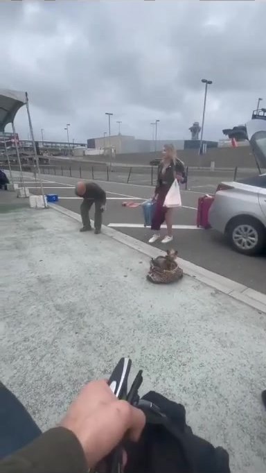 tourist bitch kicks driver in the nuts
