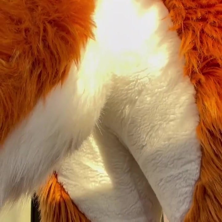 Behind foxes butt