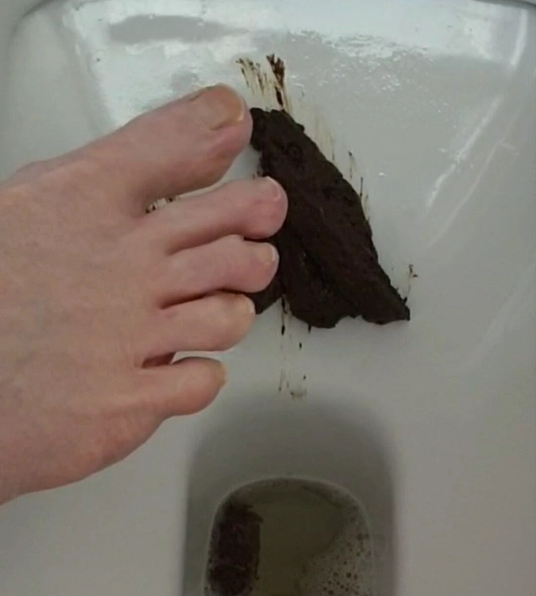 Faggot steps in its toilet bowl shit