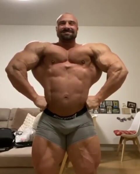 Huge MuscleBull Flexing