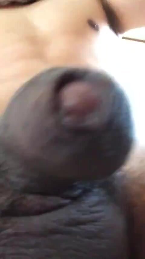 Japanese cock up close