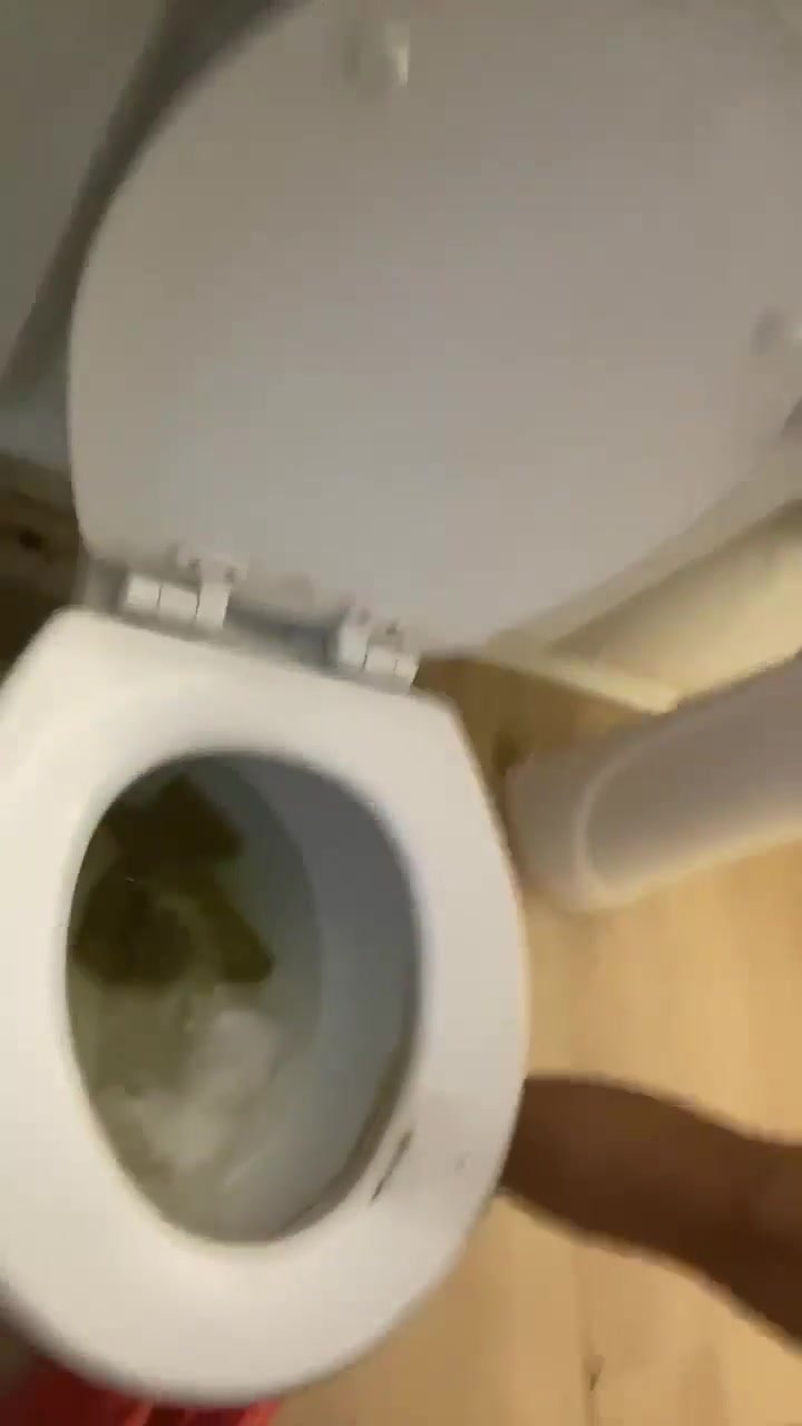 Little thoty dropping a nice one in the toilet