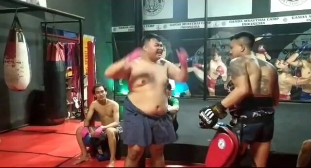 Fat Muay thai belly boxing training