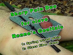 Sharp Pain Duo for Slave Renne's Genitals