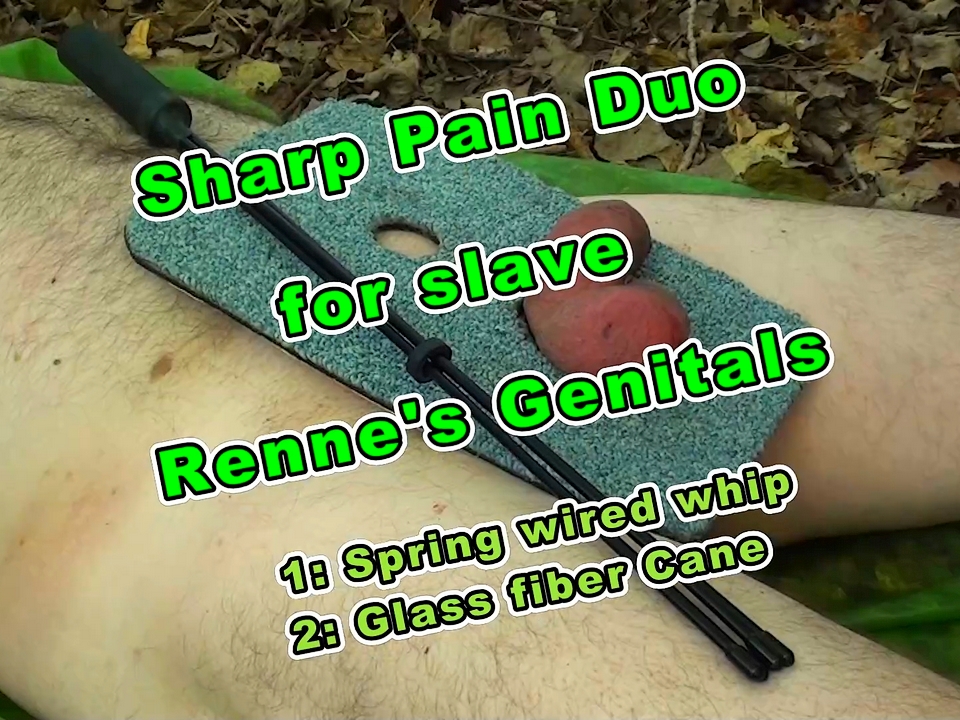 Sharp Pain Duo for Slave Renne's Genitals