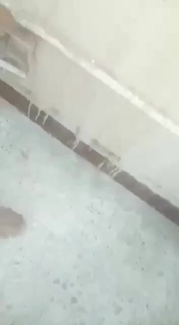 Iraqi arab man fucks a twink raw and cums profusely
