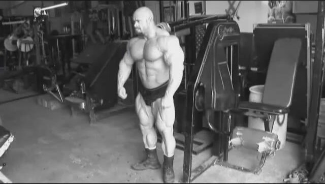 Giant MuscleBull