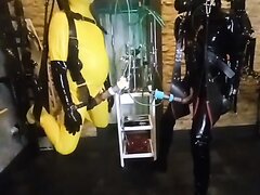 Two suspended slaves being milked