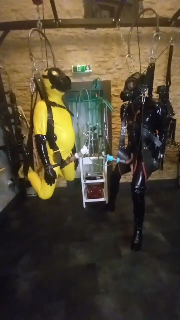 Two suspended slaves being milked