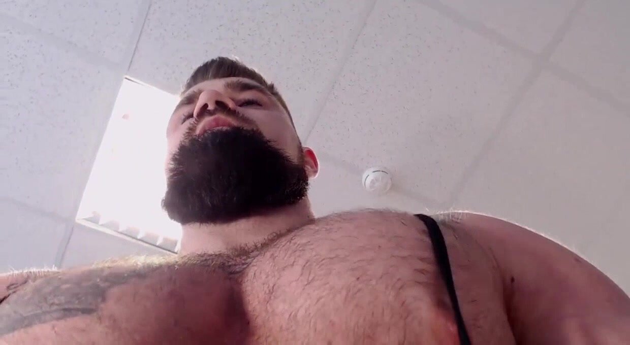 Bearded,  Hairy  Giant .
