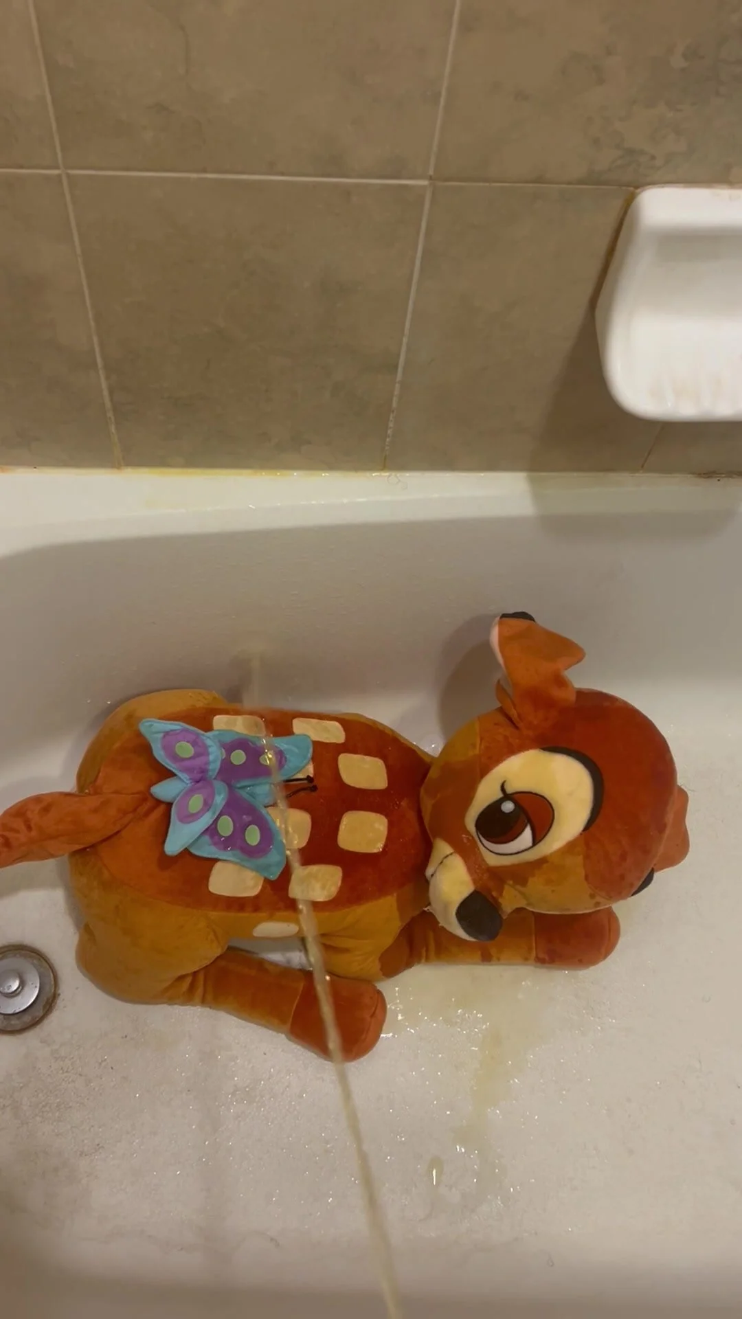 Video: Bambi and Her Butterfly had a Golden Shower Together! - ThisVid.com