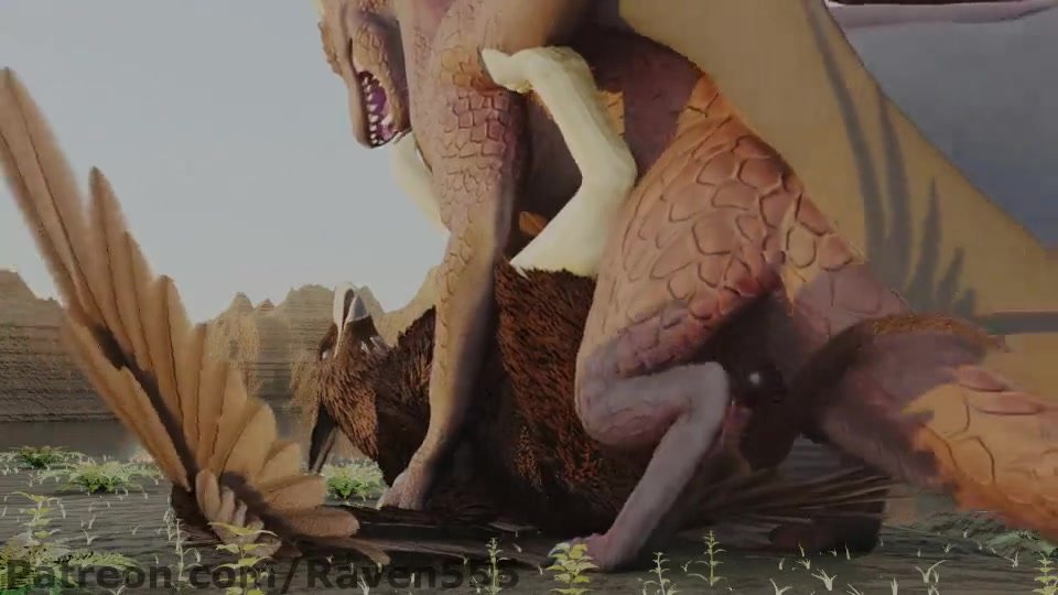 bird n dragon