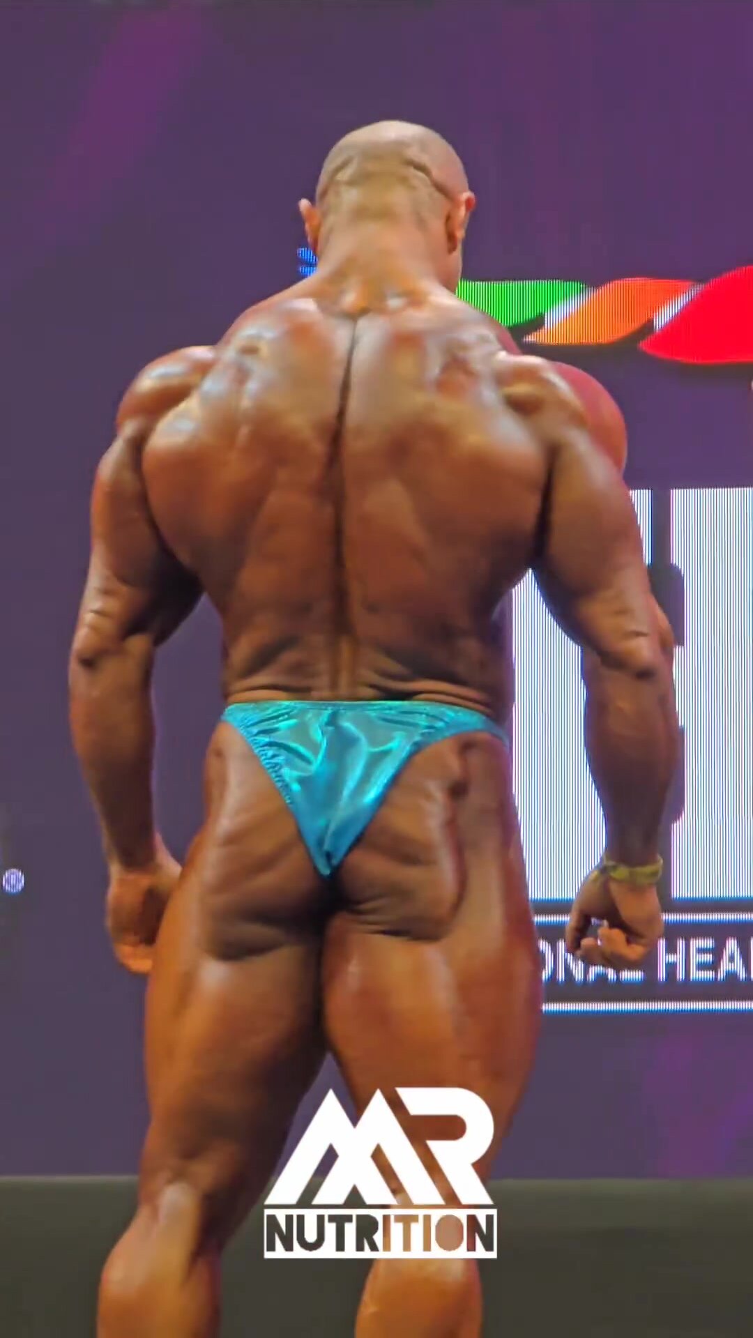 Arab Musclebull competing