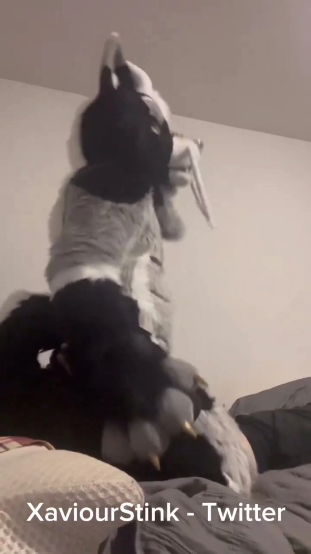 Fursuit Facesitting Farts - ThisVid.com Türkçe