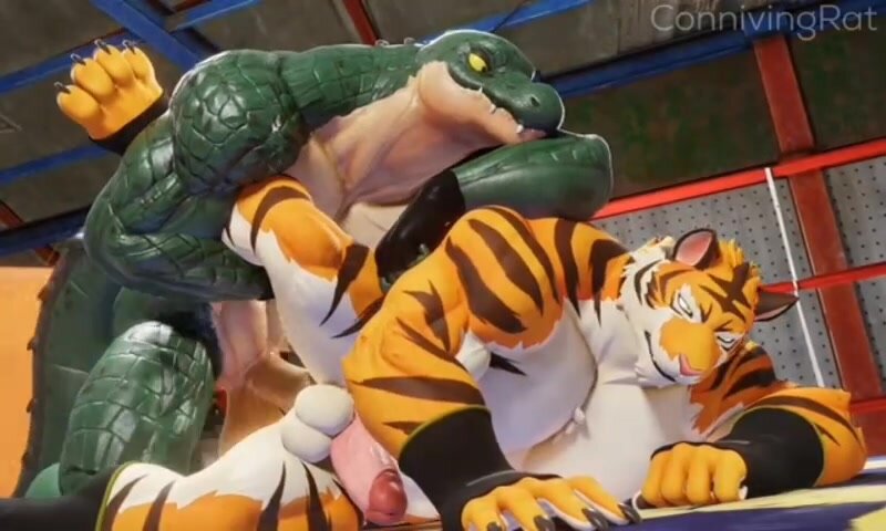 muscle Gator fucking Tiger casually - Short Video 223