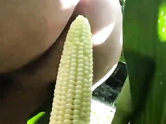 Corn Fucker