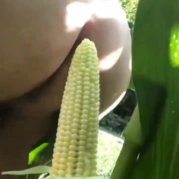 Corn Fucker